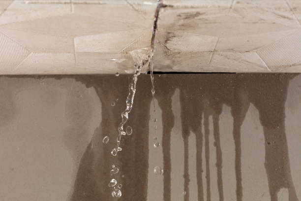 Professional Water Extraction technician working in Hillsboro, TX